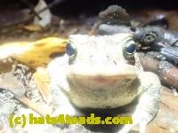 /home//u458753944/public_html/sourcegallery////////////////McKaig Nature Center/2024-09-27/P9271613.JPG